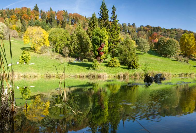 Ökumenische Tagesausflüge - Aubonne, Arboretum